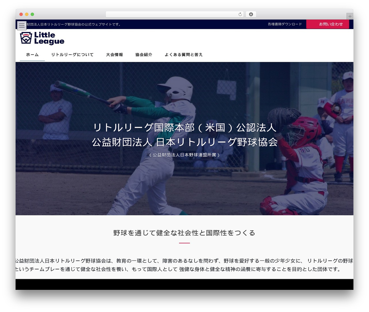 Lightning Pro WordPress theme - jllba.com