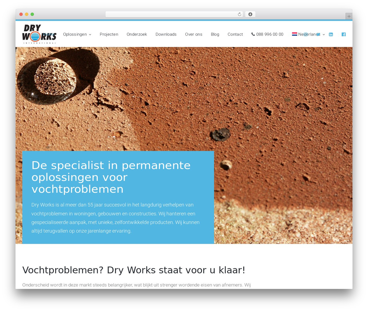 Theme WordPress Creatus Child - dryworks.com Theme WordPress Creatus Child - dryworks.com