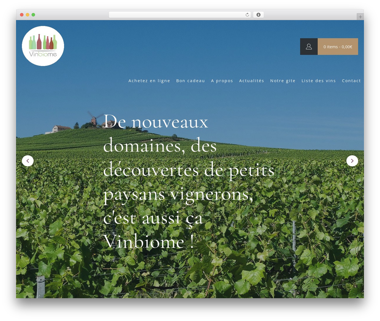 Theme WordPress KIFF. Theme Base - vinbiome.com