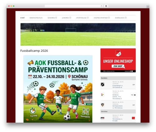 Tiny Framework theme WordPress - tsv-schoenau.info