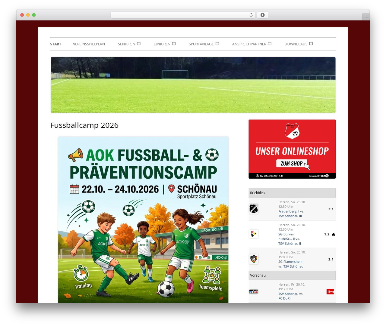 Tiny Framework theme WordPress - tsv-schoenau.info