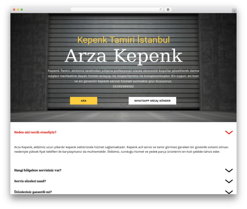 WordPress theme Arza - arzakepenk.com