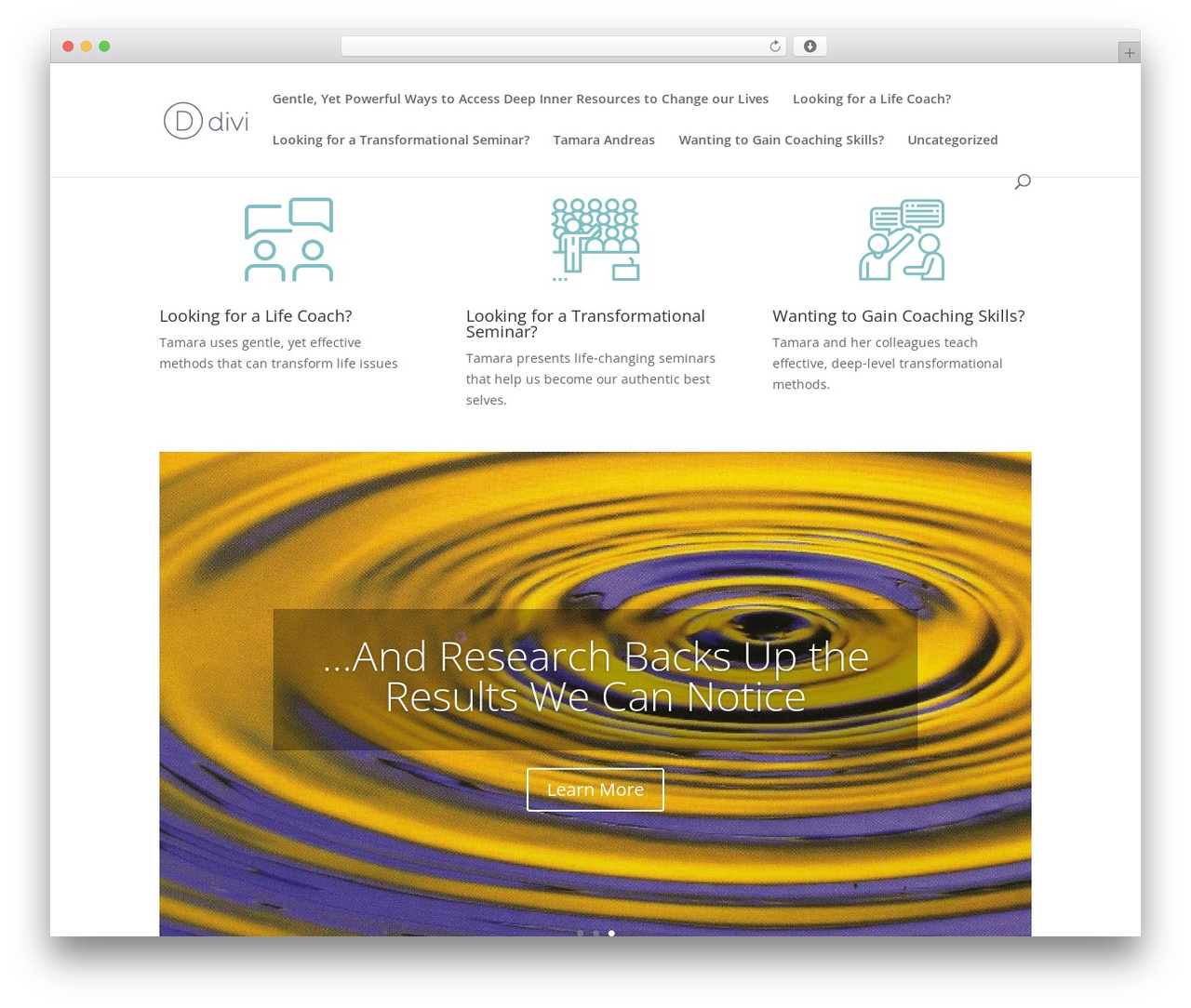 WordPress theme Divi - tamaraandreas.com