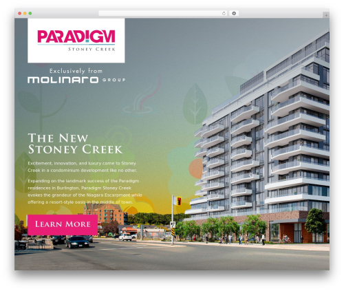 Campaign Monitor for WordPress (forms-for-campaign-monitor) free WordPress plugin - paradigmstoneycreek.ca
