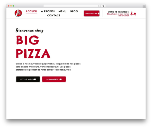 Proelements 4.0.4.2 WordPress plugin - bigpizza.ch