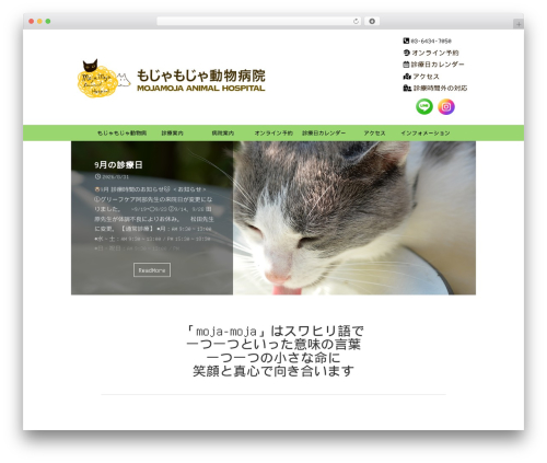 St rich animation WordPress plugin - mojamoja-ah.com