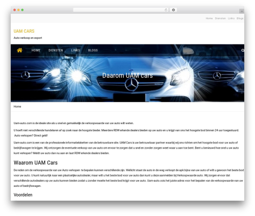 BC Business Consulting company WordPress theme - uam-auto.com