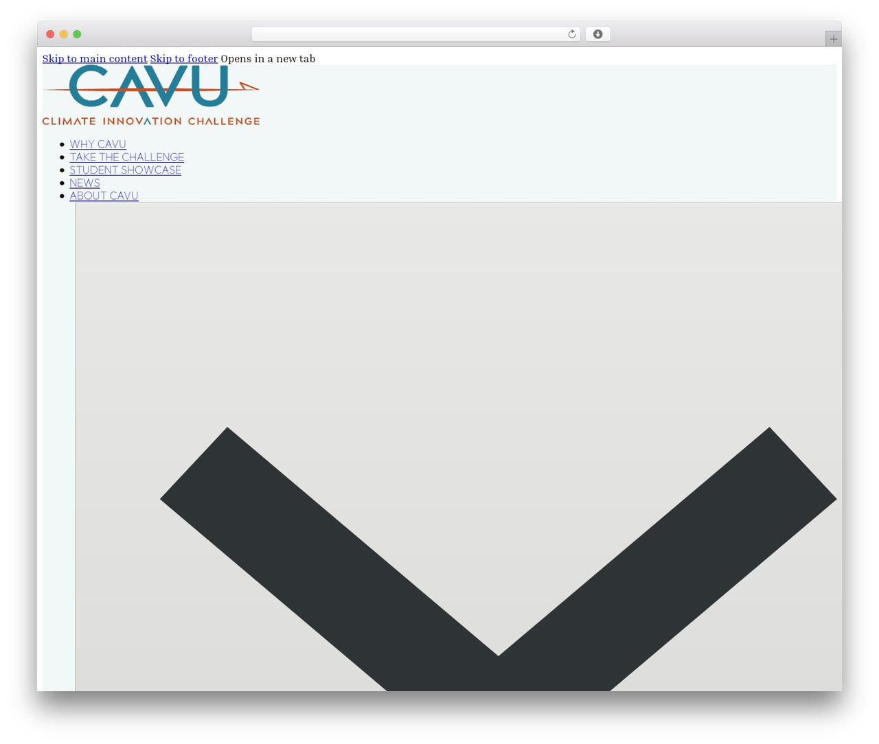 Bricks WordPress theme - cavu.org