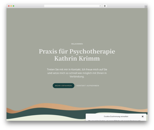Constructor best WordPress theme - praxis-krimm.de