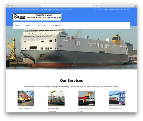 Fetch WordPress theme - diverseservices.net
