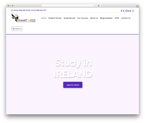 Ctcore WordPress plugin - smartbeee.co.uk