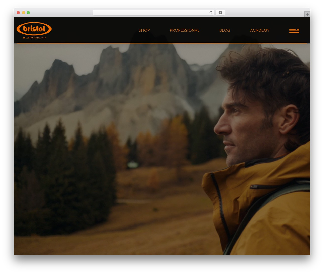 WordPress theme Caffè Bristot - caffebristot.com WordPress theme Caffè Bristot - caffebristot.com