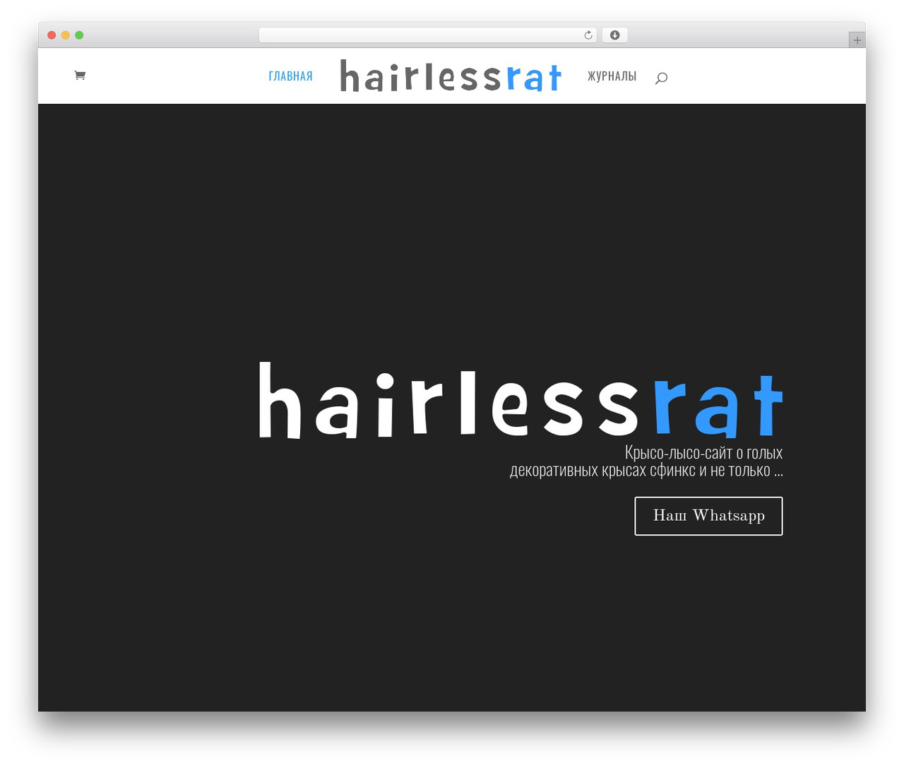WordPress theme Divi - hairlessrat.ru WordPress theme Divi - hairlessrat.ru