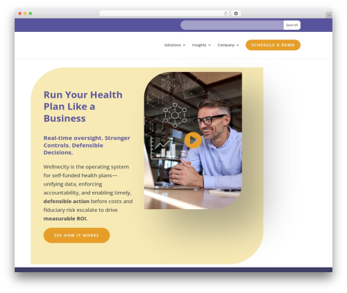 WordPress theme Divi - wellnecity.com