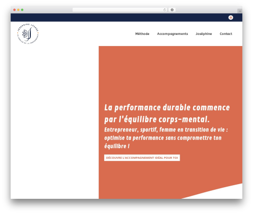 DDesign WordPress theme - josephine-et-vous.fr