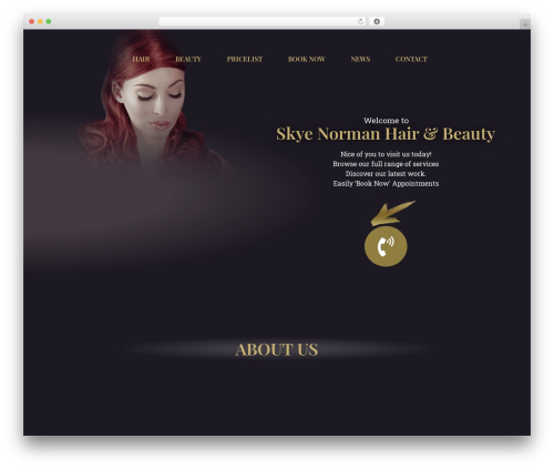 HT Feed (ht-instagram) free WordPress plugin - skyenorman.com