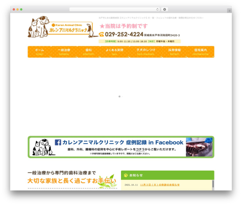 Theme WordPress Themify Basic - karen-ac.com