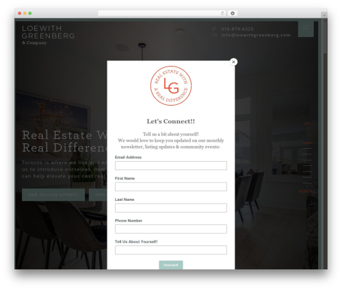 GREENBERG Theme WordPress theme - loewithgreenberg.com