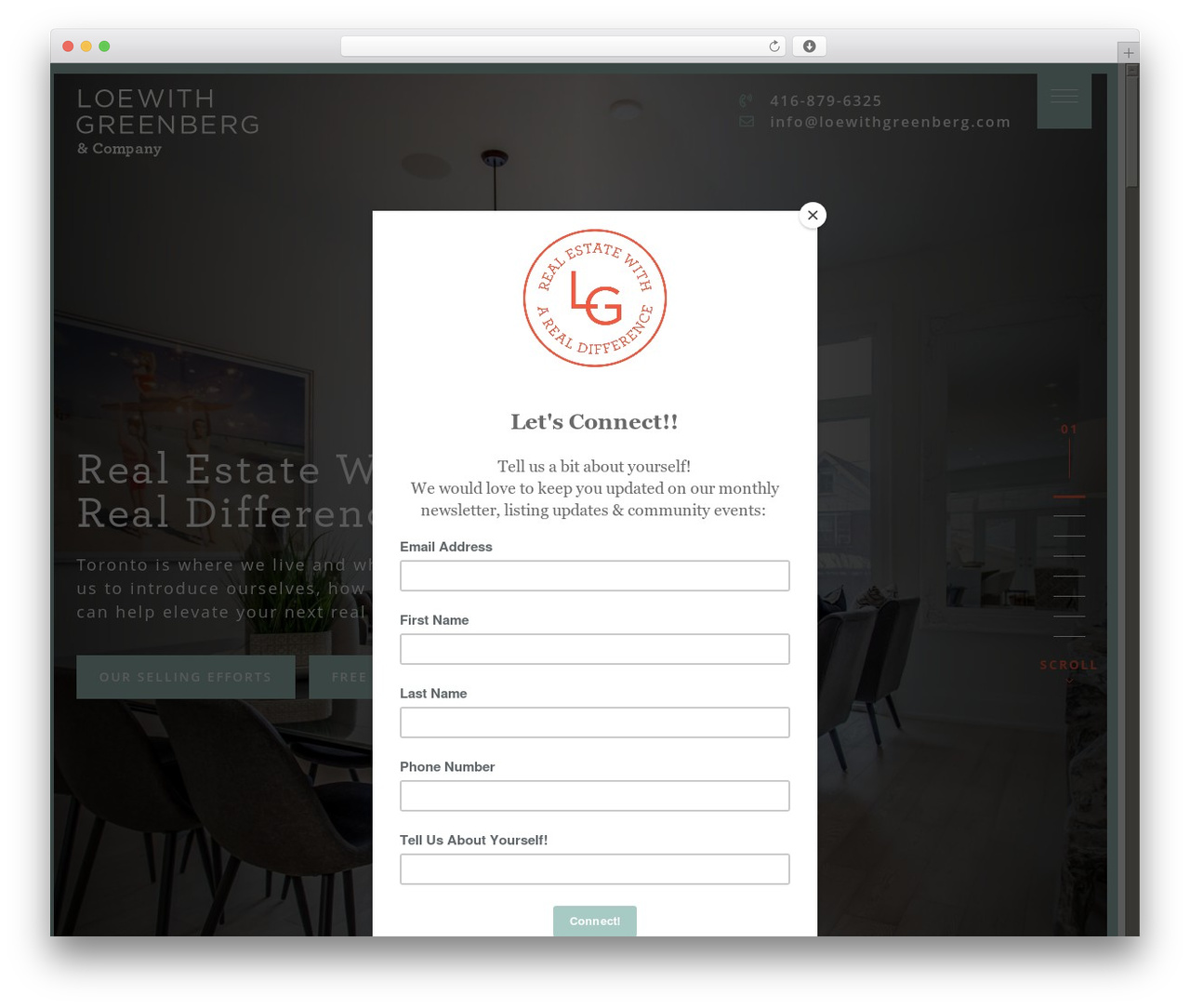 GREENBERG Theme WordPress theme - loewithgreenberg.com GREENBERG Theme WordPress theme - loewithgreenberg.com