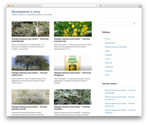 Post Hit Counter (post-hit-counter) free WordPress plugin - survinat.com