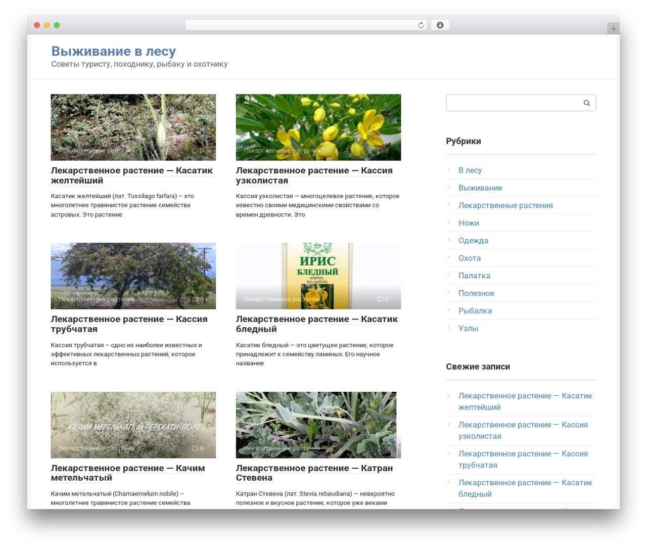 Root WordPress theme - survinat.com
