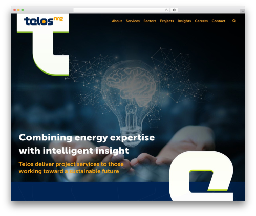 WordPress theme Client Name - Gutenberg - telosnrg.com