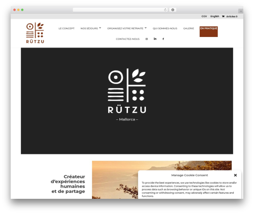 Yaycurrency pro WordPress plugin - rutzu.com