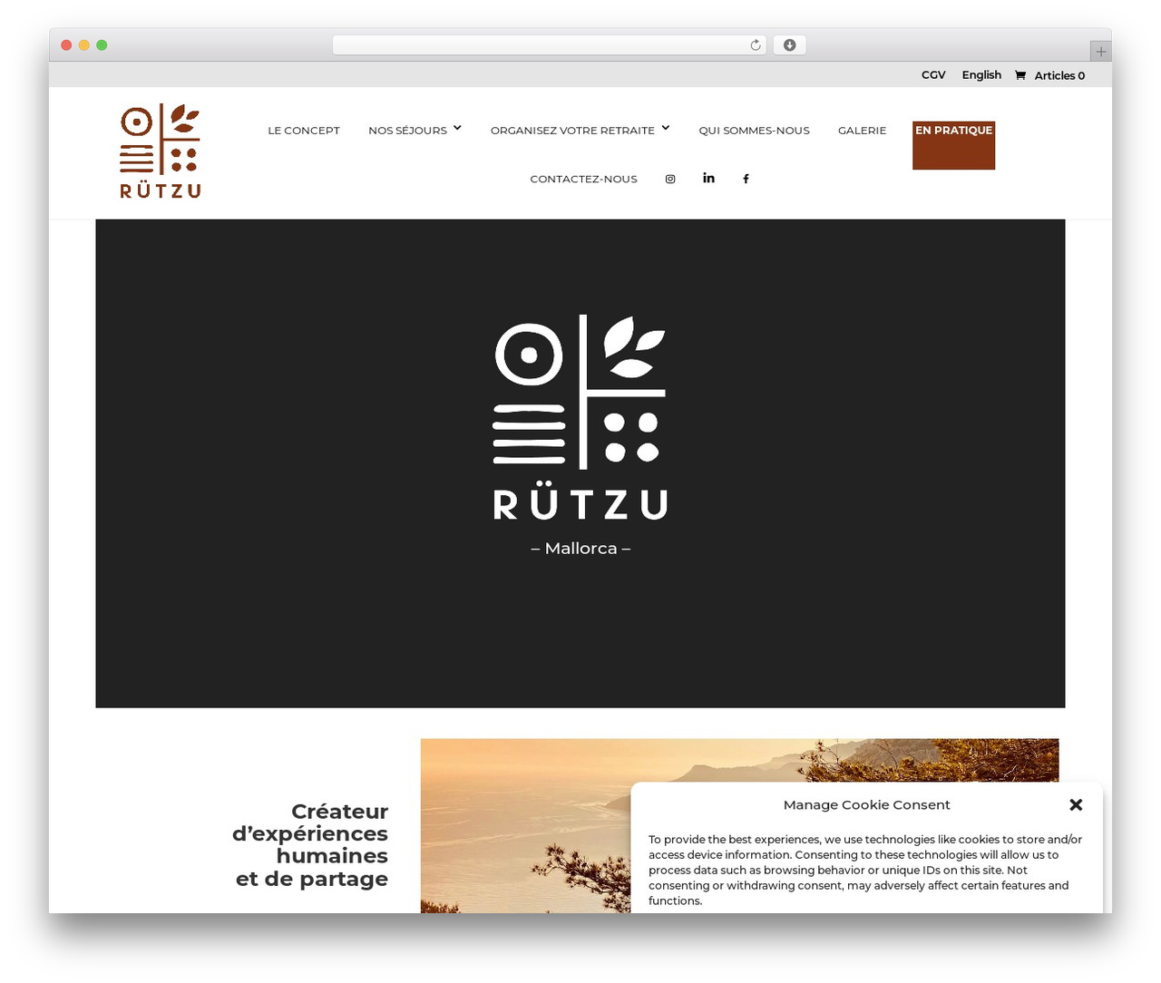WordPress theme Divi - rutzu.com