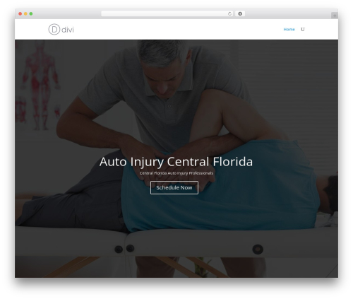 Business opening hours WordPress plugin - autoinjurycfl.com