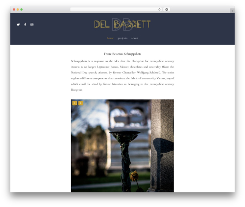 Wordpress social stream WordPress plugin - delbarrett.com