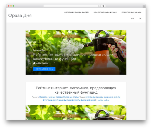 SoftPoint premium WordPress theme - fraza.net.ua