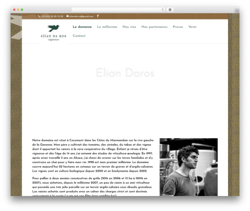 WordPress theme Divi - eliandaros.fr