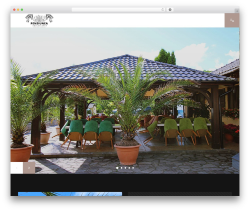 WP theme Atom Framework - pensiunea-adolescenta.ro