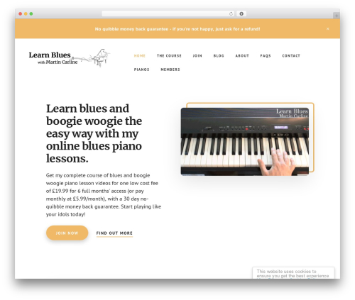 Academy Pro theme WordPress - learnpianoblues.com