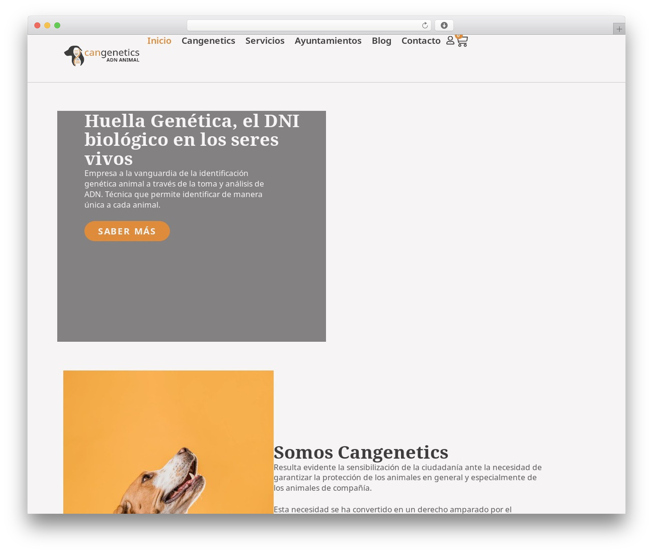 CanGenetics WordPress theme - cangenetics.com