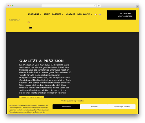 Responsive table for divi WordPress plugin - iq-archery.com