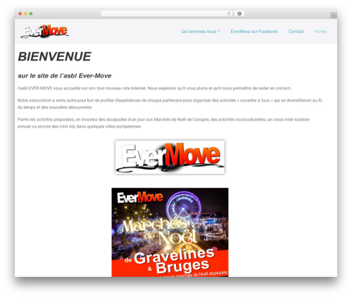 Lws optimize WordPress plugin - ever-move.be