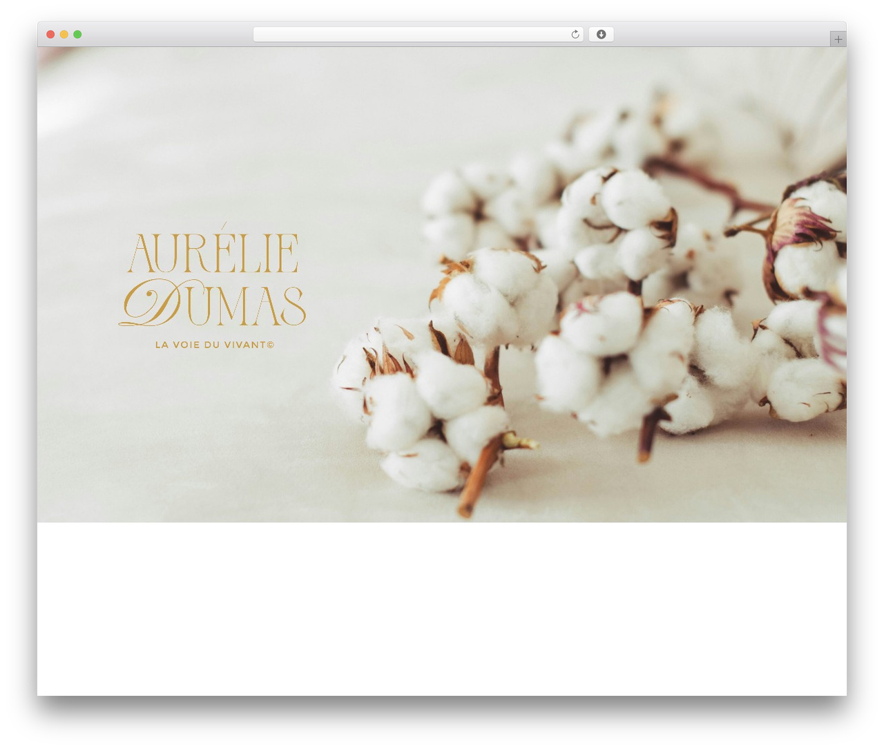 Theme WordPress Divi - aurelie-dumas.com Theme WordPress Divi - aurelie-dumas.com