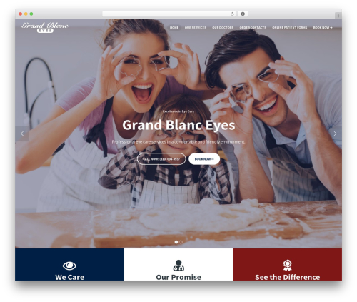 Viba portfolio WordPress plugin - grandblanceyes.com