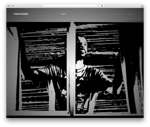 Theme WordPress Phoenix - firatguner.com