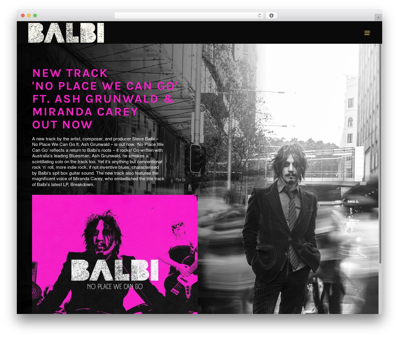 Zample WordPress theme - stevebalbi.com