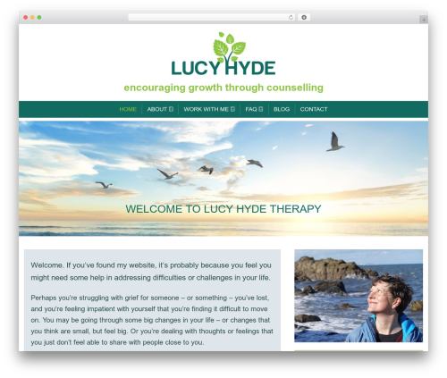 Atomic Blocks theme WordPress - lucyhydetherapy.com