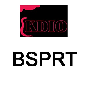 BSPRT Theme best WordPress theme BSPRT Theme best WordPress theme
