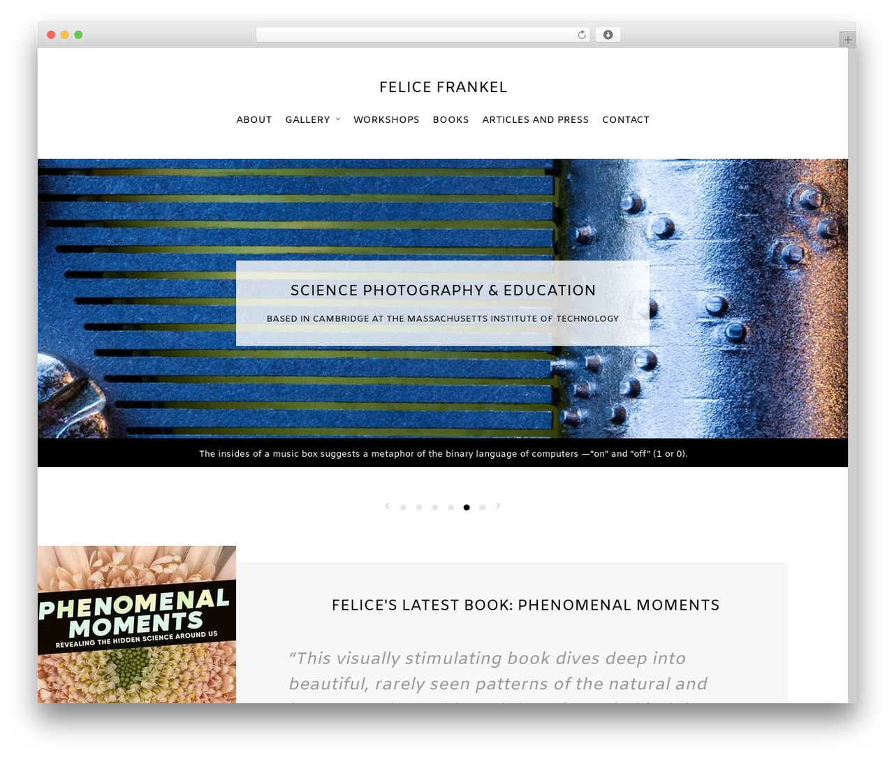 Default free WordPress theme - felicefrankel.com