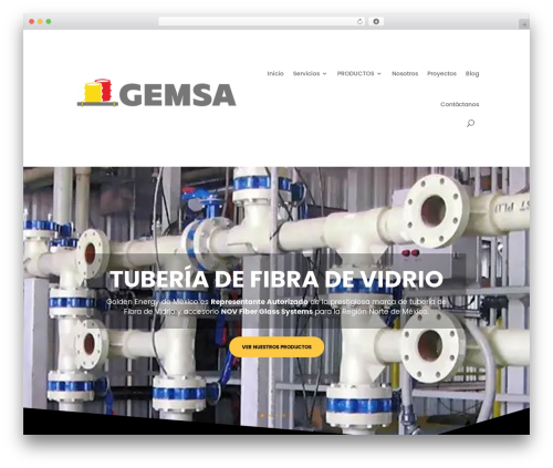 Divi WP theme - gemsamx.com