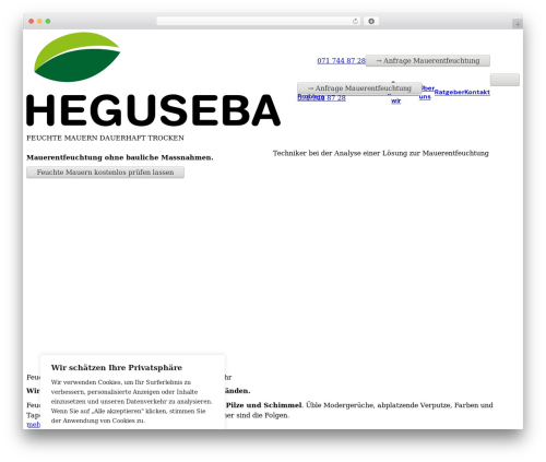 Etch Theme theme WordPress - mauerentfeuchtung-heguseba.ch