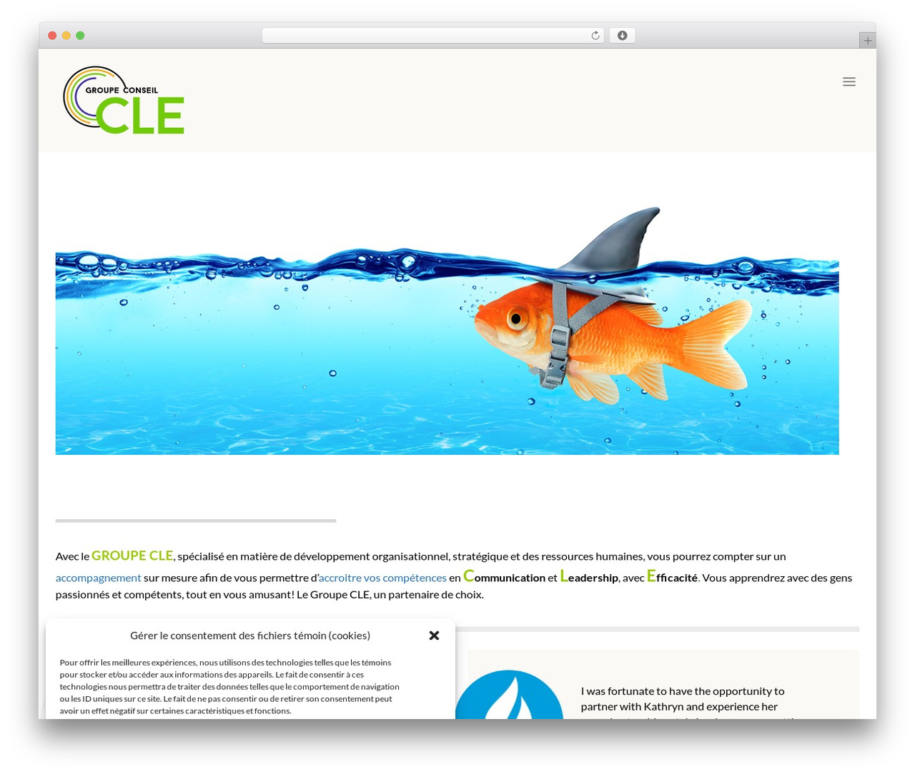 Mentor Child theme WordPress - groupecle.com