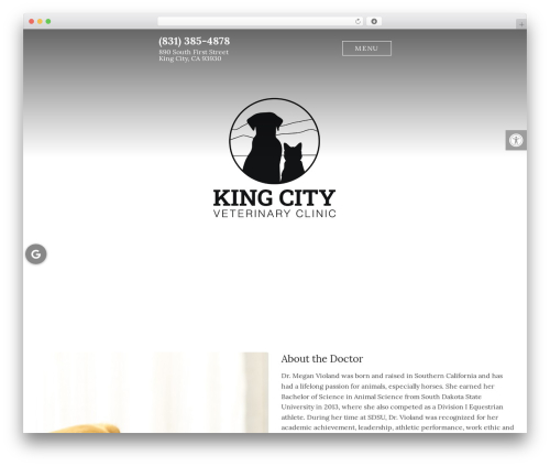 Parent Theme WordPress theme - kingcityvet.com