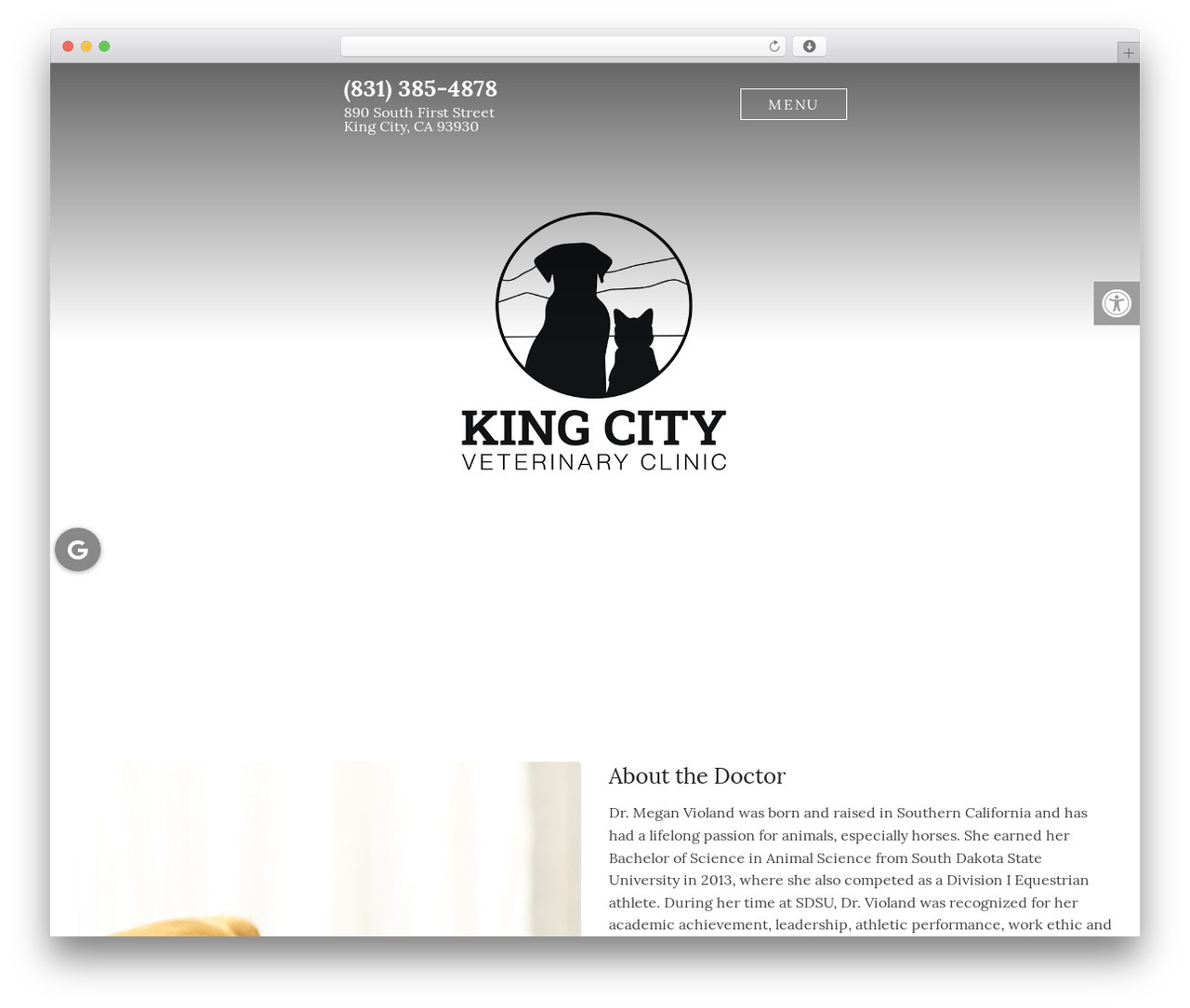 Parent Theme WordPress theme - kingcityvet.com