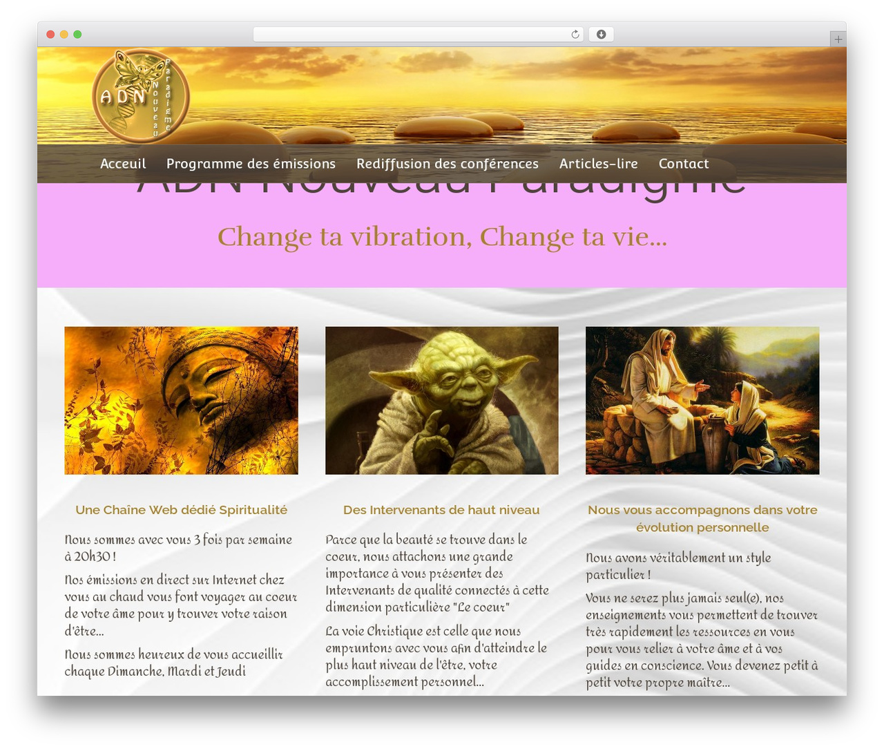 Theme WordPress Beaver Builder Theme - cmonbiz.org